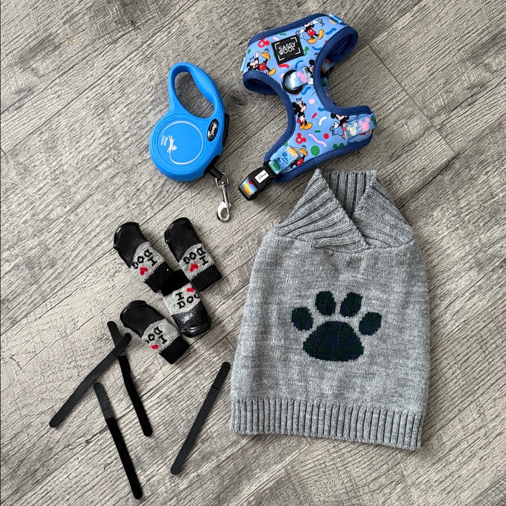 Blue Patterned Dog Harness and Leash Set